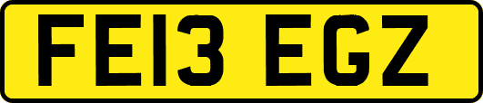 FE13EGZ