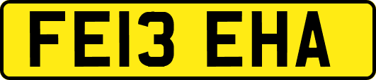 FE13EHA