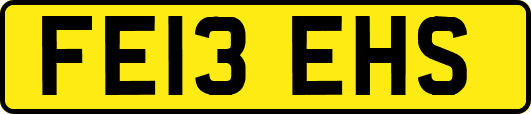 FE13EHS