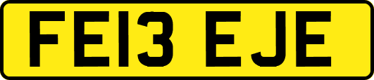 FE13EJE
