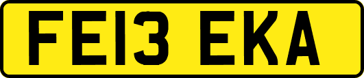 FE13EKA