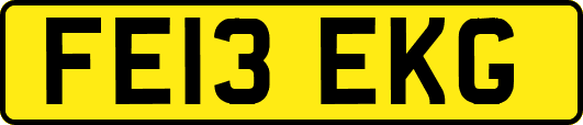 FE13EKG