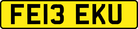 FE13EKU