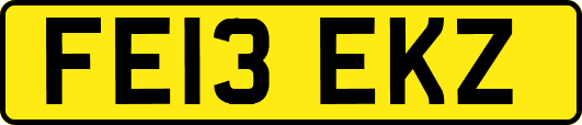 FE13EKZ