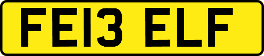 FE13ELF