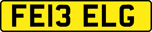 FE13ELG