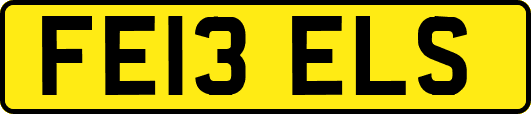 FE13ELS