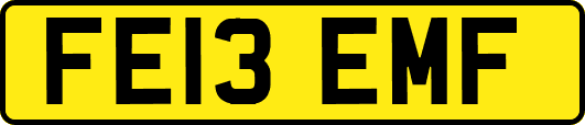 FE13EMF