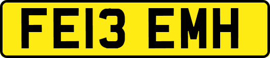 FE13EMH