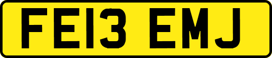 FE13EMJ