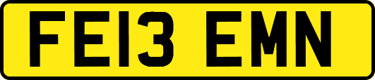 FE13EMN