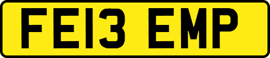 FE13EMP
