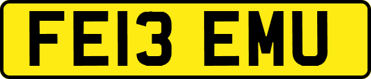 FE13EMU