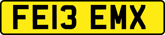 FE13EMX