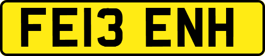FE13ENH