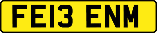 FE13ENM