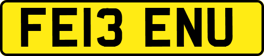 FE13ENU