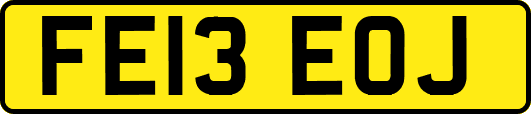 FE13EOJ
