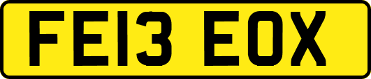 FE13EOX