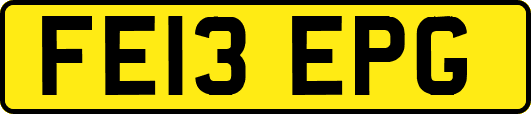 FE13EPG