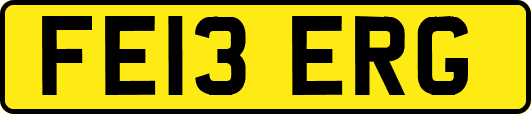 FE13ERG