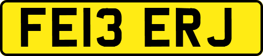 FE13ERJ