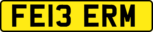 FE13ERM