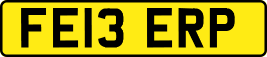 FE13ERP