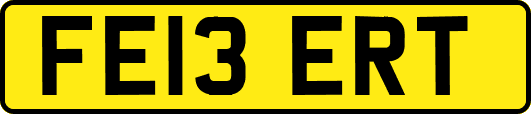 FE13ERT