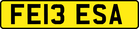 FE13ESA