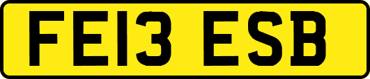 FE13ESB