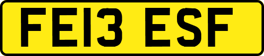 FE13ESF