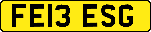 FE13ESG