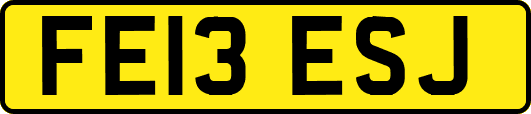 FE13ESJ