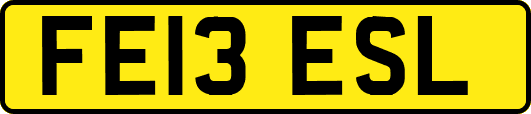 FE13ESL