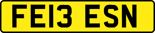 FE13ESN
