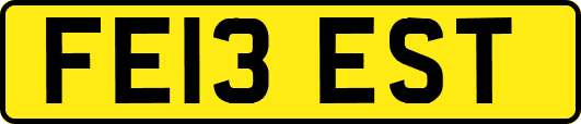 FE13EST