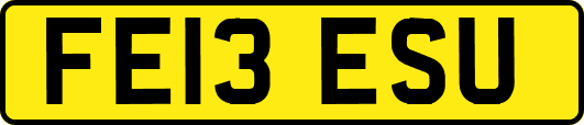 FE13ESU