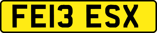 FE13ESX