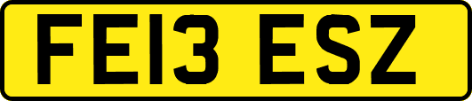 FE13ESZ