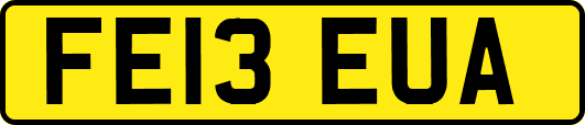 FE13EUA