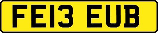 FE13EUB