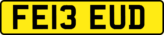 FE13EUD