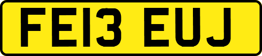 FE13EUJ