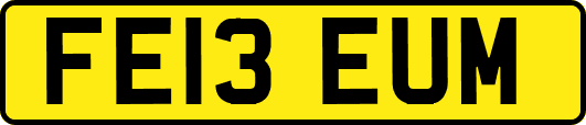FE13EUM