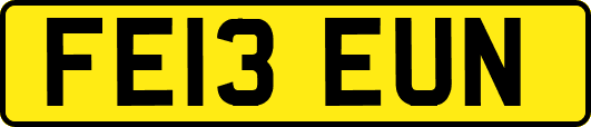 FE13EUN