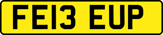 FE13EUP