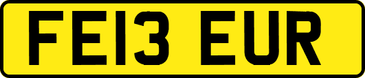 FE13EUR