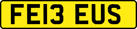 FE13EUS