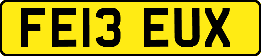 FE13EUX